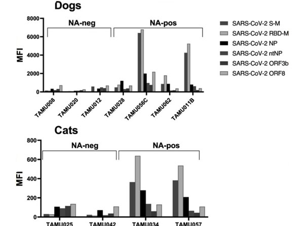 Multiplex antigen detection using Rabbit F(ab')2 Anti-Dog IgG Phycoerythrin